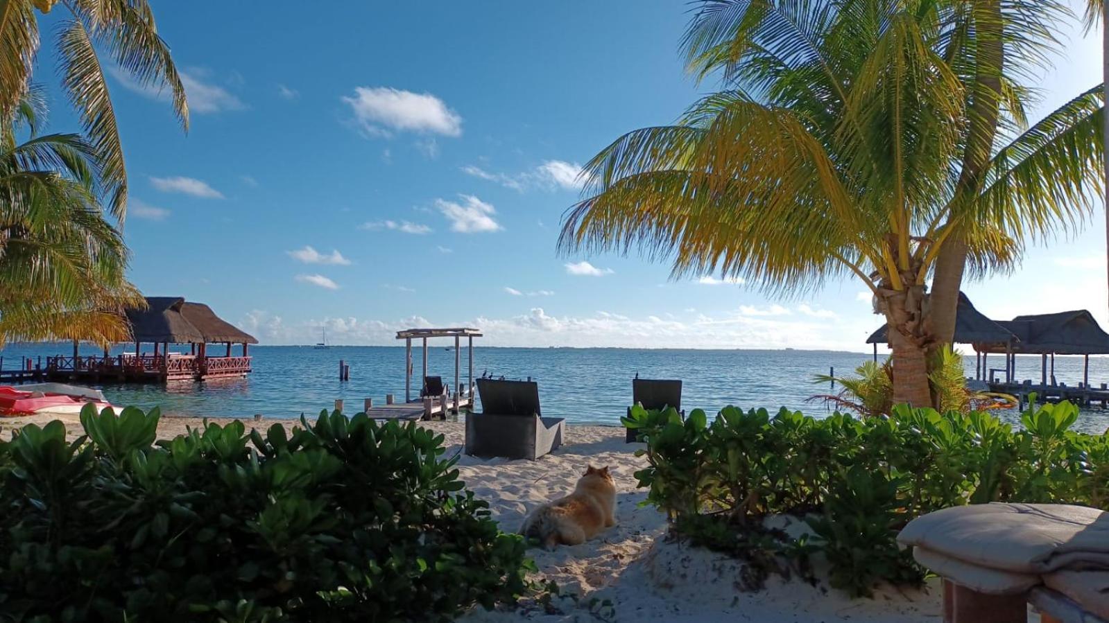 Cancun Private Apartment Екстер'єр фото